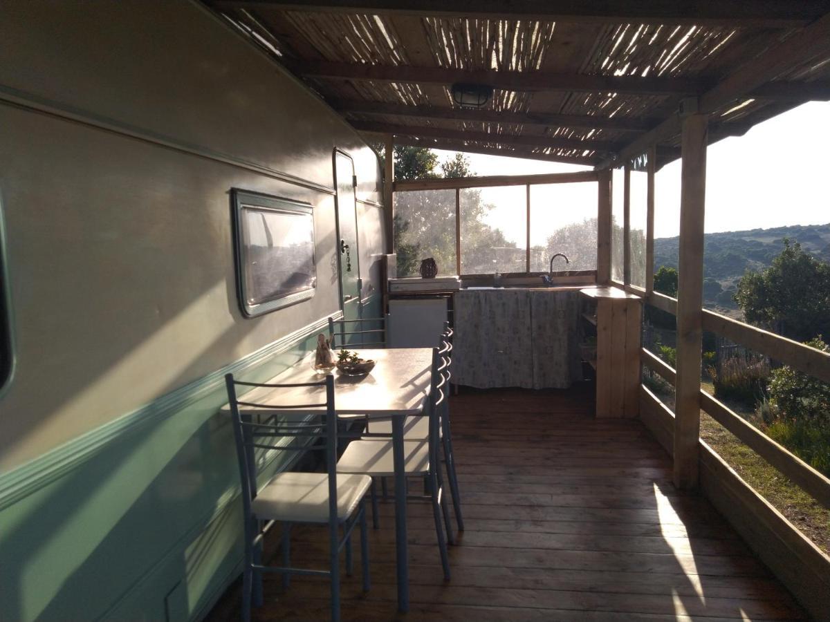La Cera Farm Camping B&B Santa Teresa Gallura Bagian luar foto