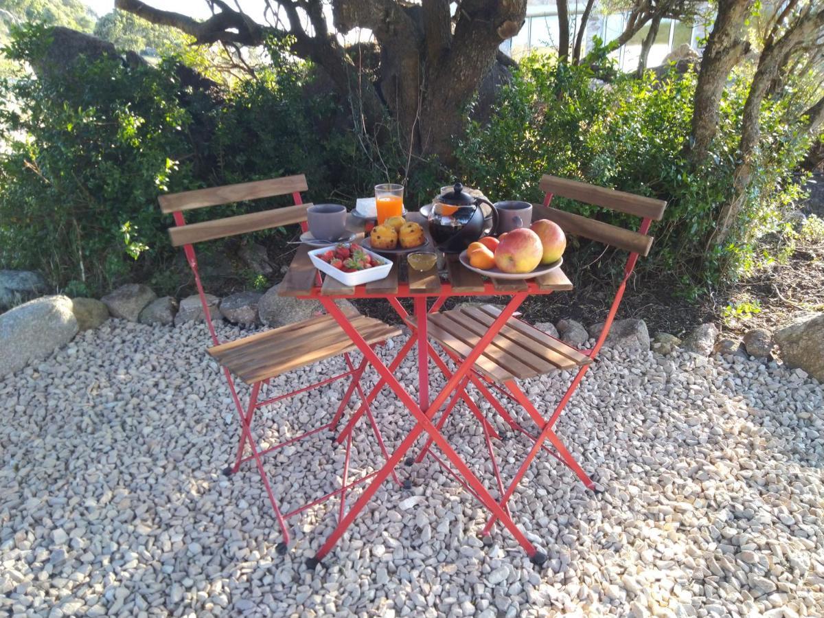 La Cera Farm Camping B&B Santa Teresa Gallura Bagian luar foto