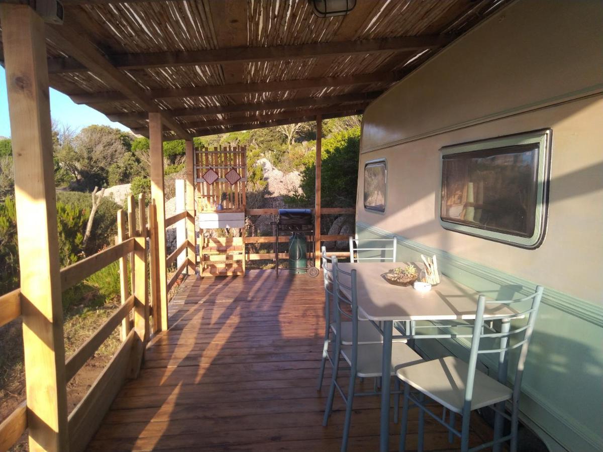 La Cera Farm Camping B&B Santa Teresa Gallura Bagian luar foto