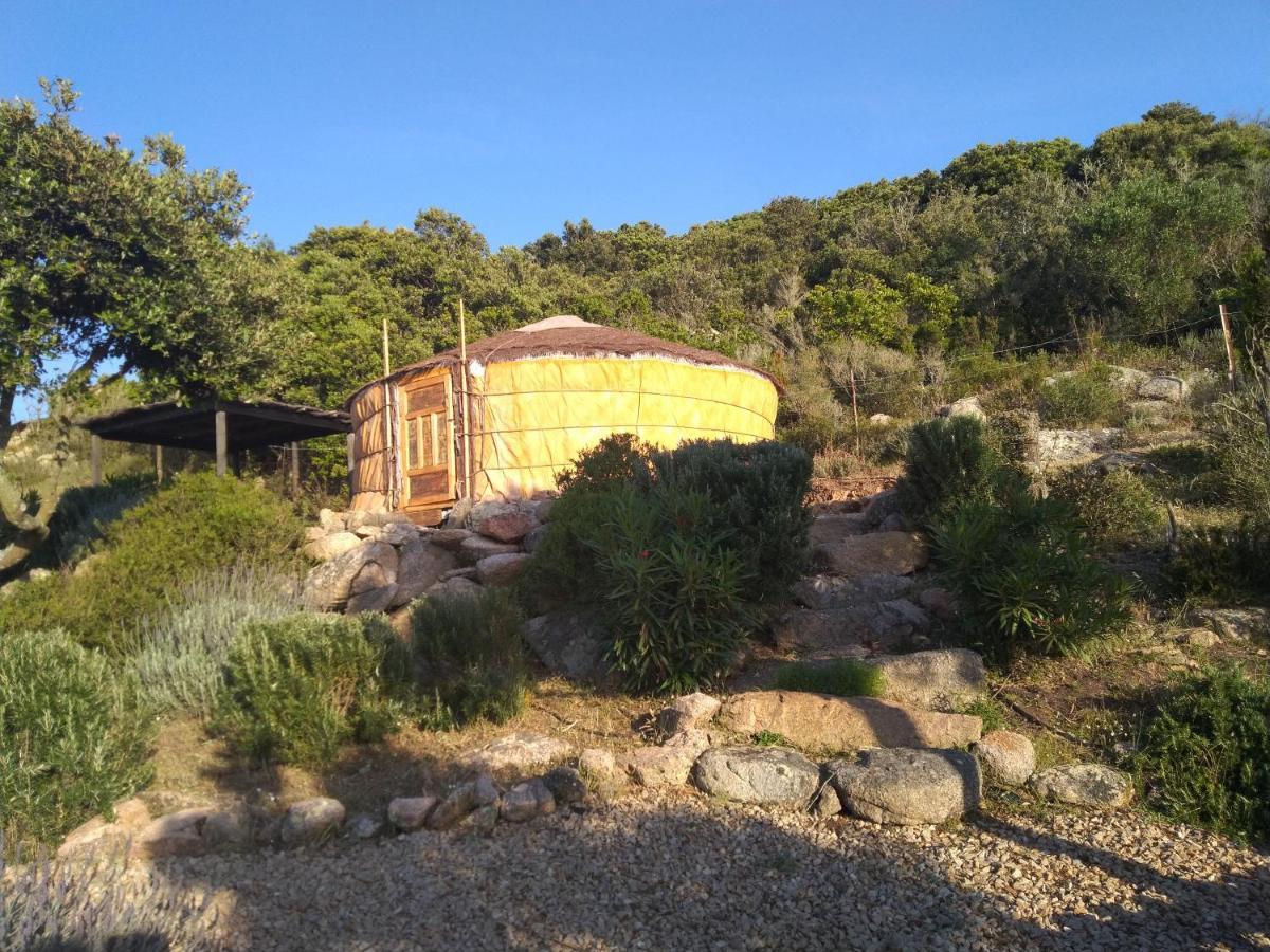 La Cera Farm Camping B&B Santa Teresa Gallura Bagian luar foto