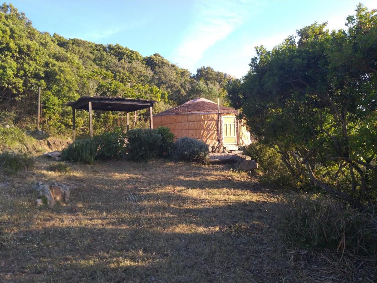 La Cera Farm Camping B&B Santa Teresa Gallura Bagian luar foto