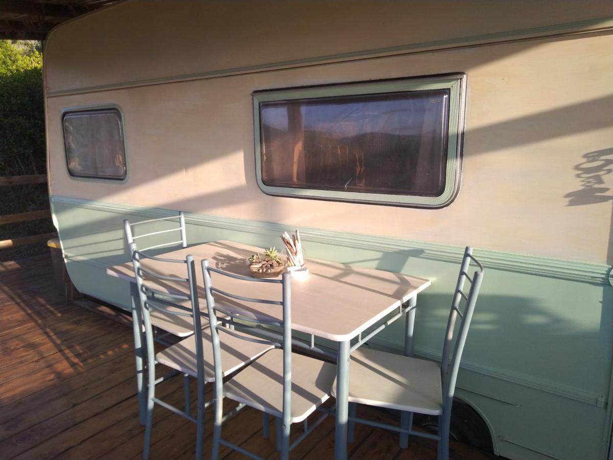 La Cera Farm Camping B&B Santa Teresa Gallura Bagian luar foto