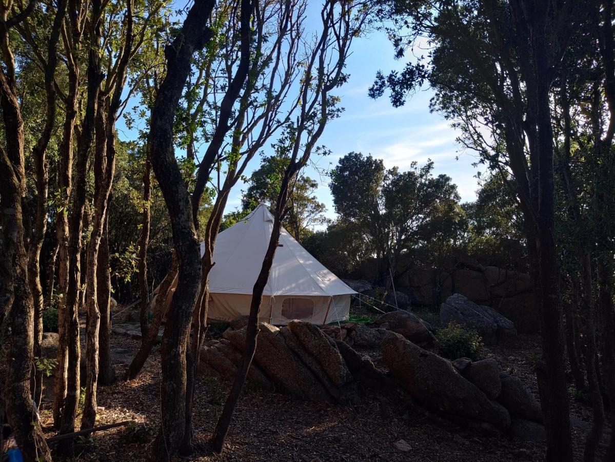 La Cera Farm Camping B&B Santa Teresa Gallura Bagian luar foto