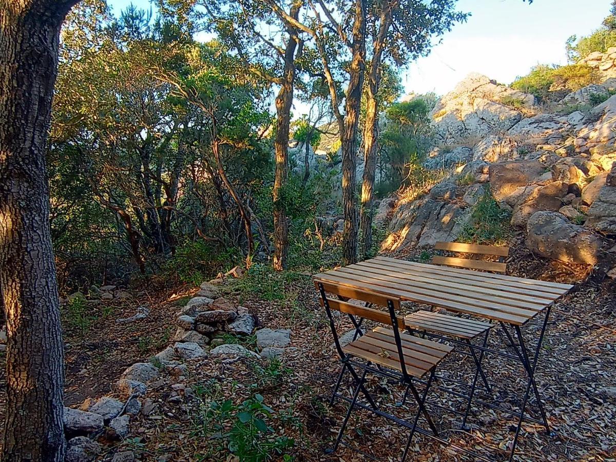 La Cera Farm Camping B&B Santa Teresa Gallura Bagian luar foto