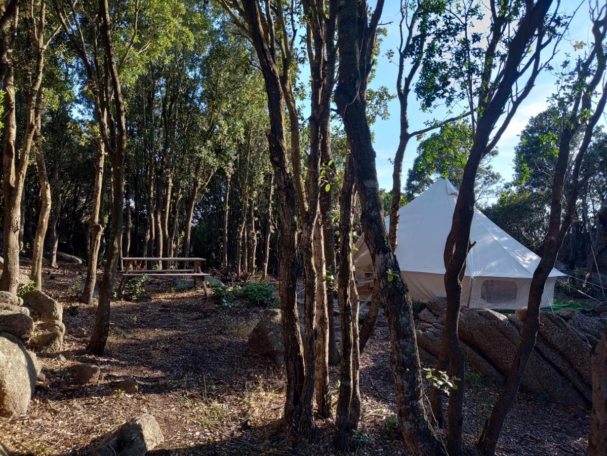 La Cera Farm Camping B&B Santa Teresa Gallura Bagian luar foto