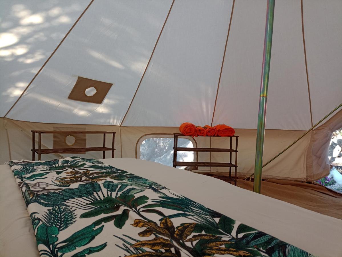 La Cera Farm Camping B&B Santa Teresa Gallura Bagian luar foto
