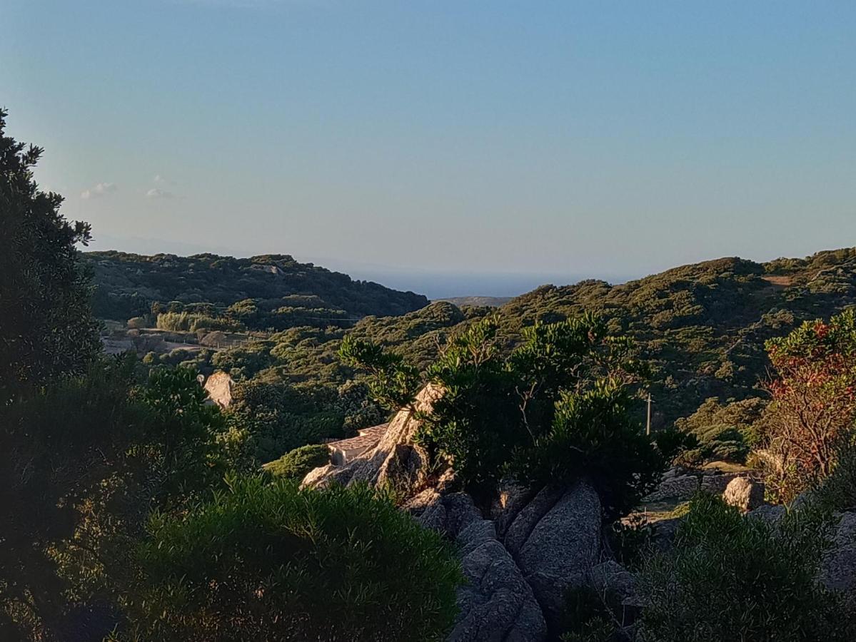 La Cera Farm Camping B&B Santa Teresa Gallura Bagian luar foto