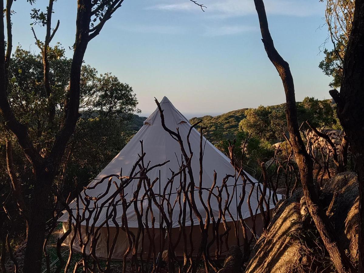 La Cera Farm Camping B&B Santa Teresa Gallura Bagian luar foto