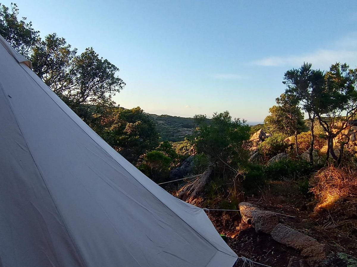 La Cera Farm Camping B&B Santa Teresa Gallura Bagian luar foto