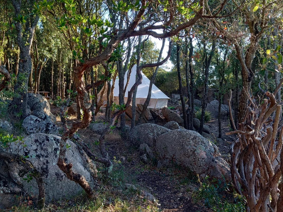La Cera Farm Camping B&B Santa Teresa Gallura Bagian luar foto