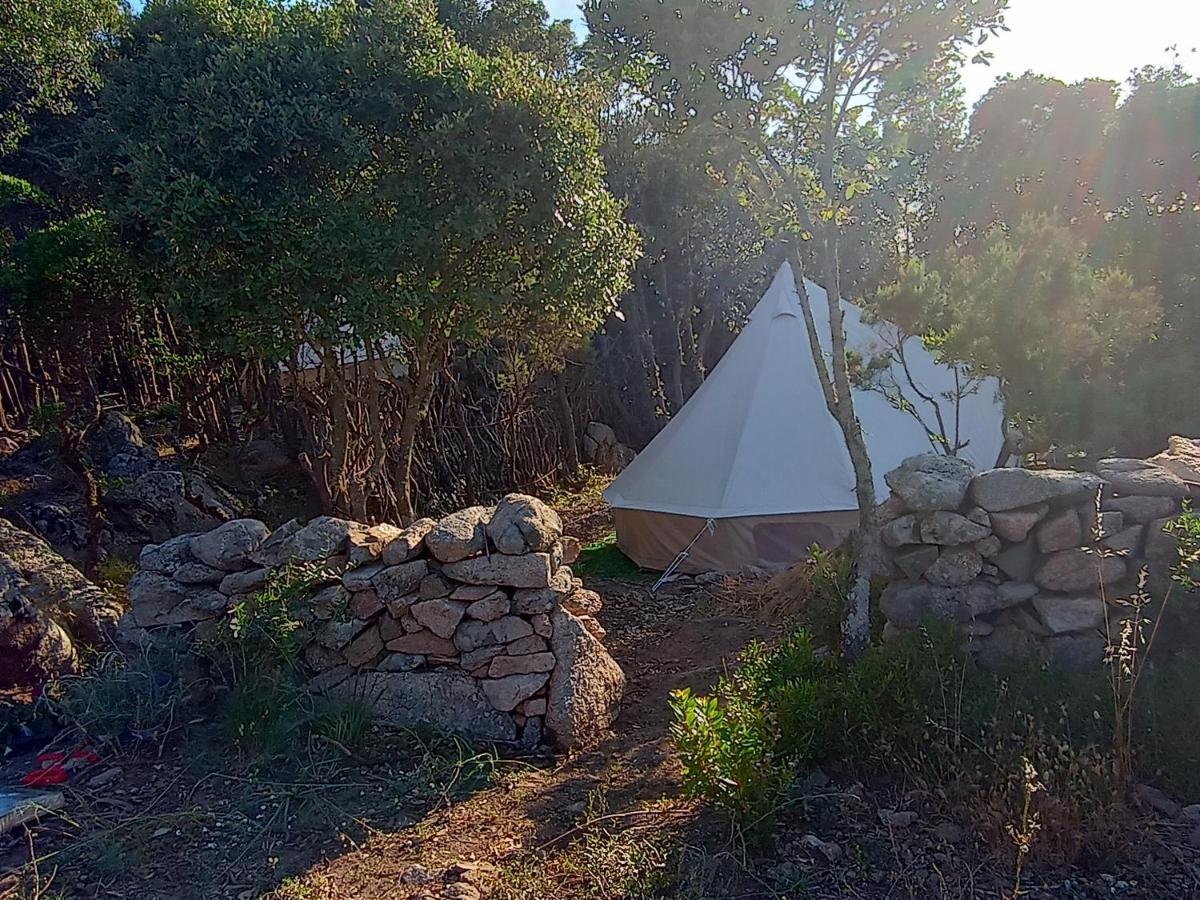 La Cera Farm Camping B&B Santa Teresa Gallura Bagian luar foto