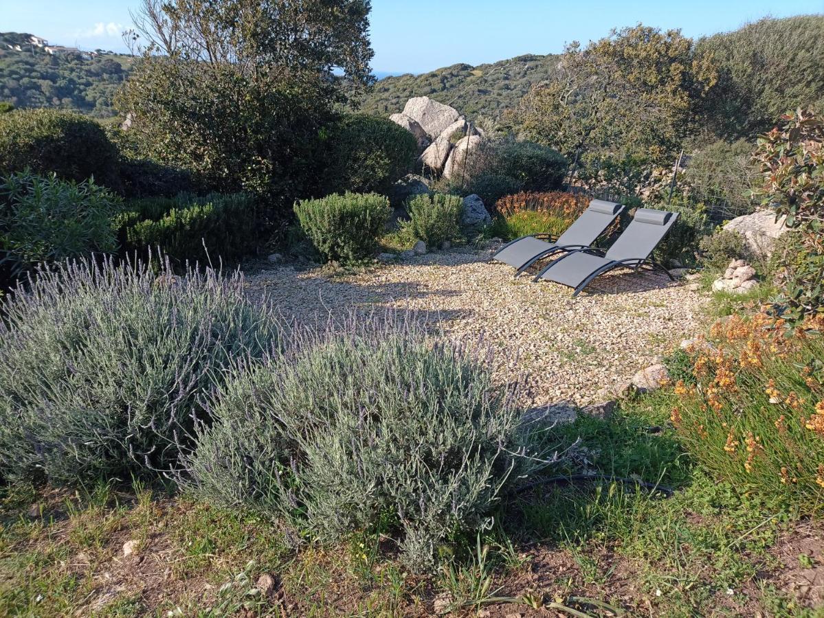 La Cera Farm Camping B&B Santa Teresa Gallura Bagian luar foto