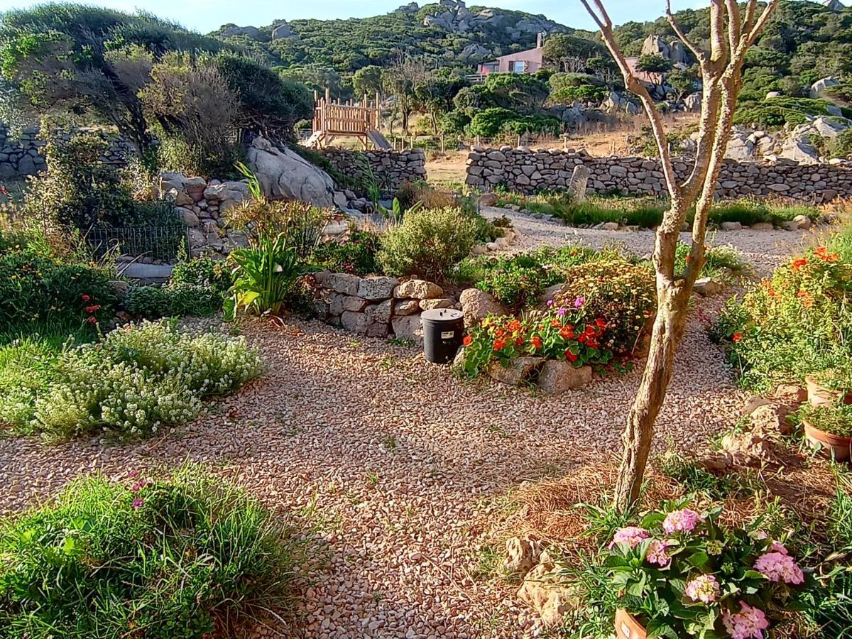 La Cera Farm Camping B&B Santa Teresa Gallura Bagian luar foto