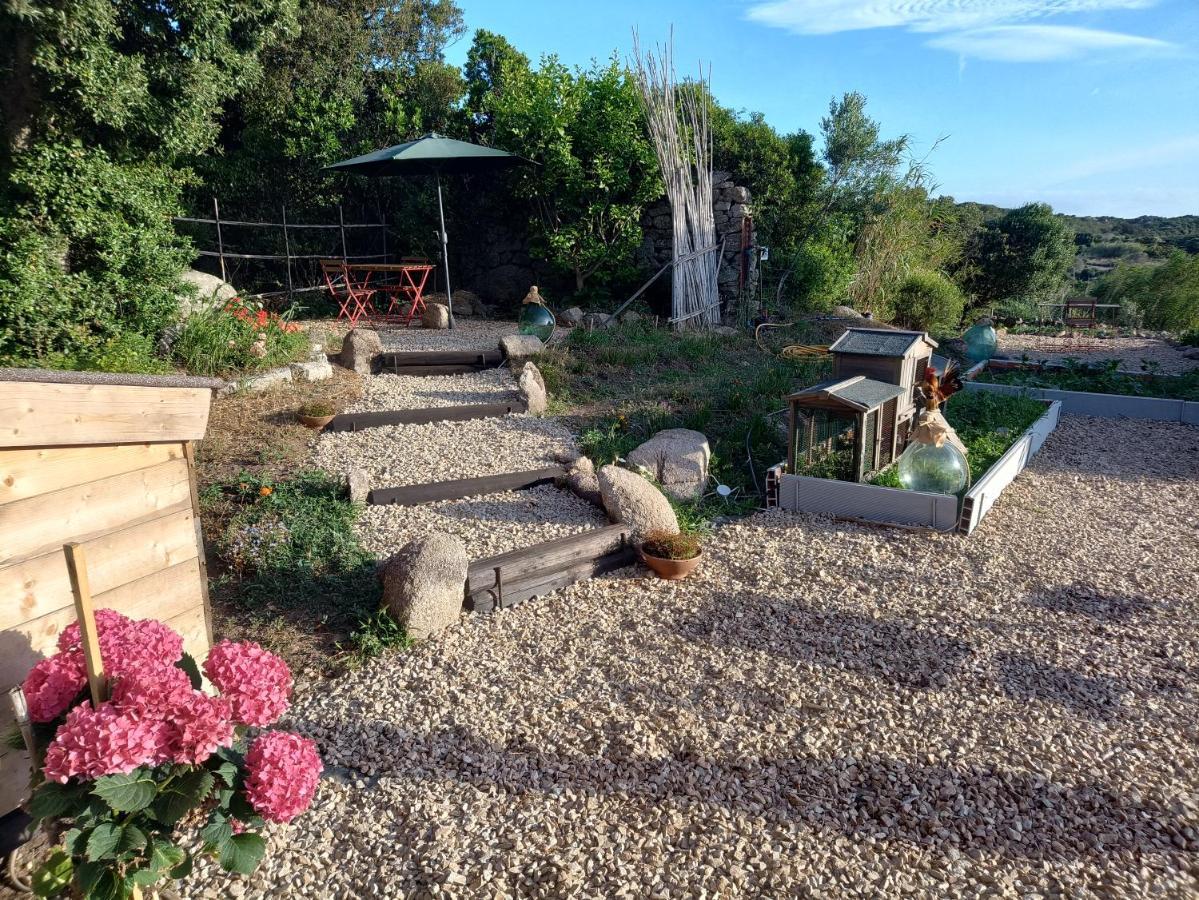 La Cera Farm Camping B&B Santa Teresa Gallura Bagian luar foto