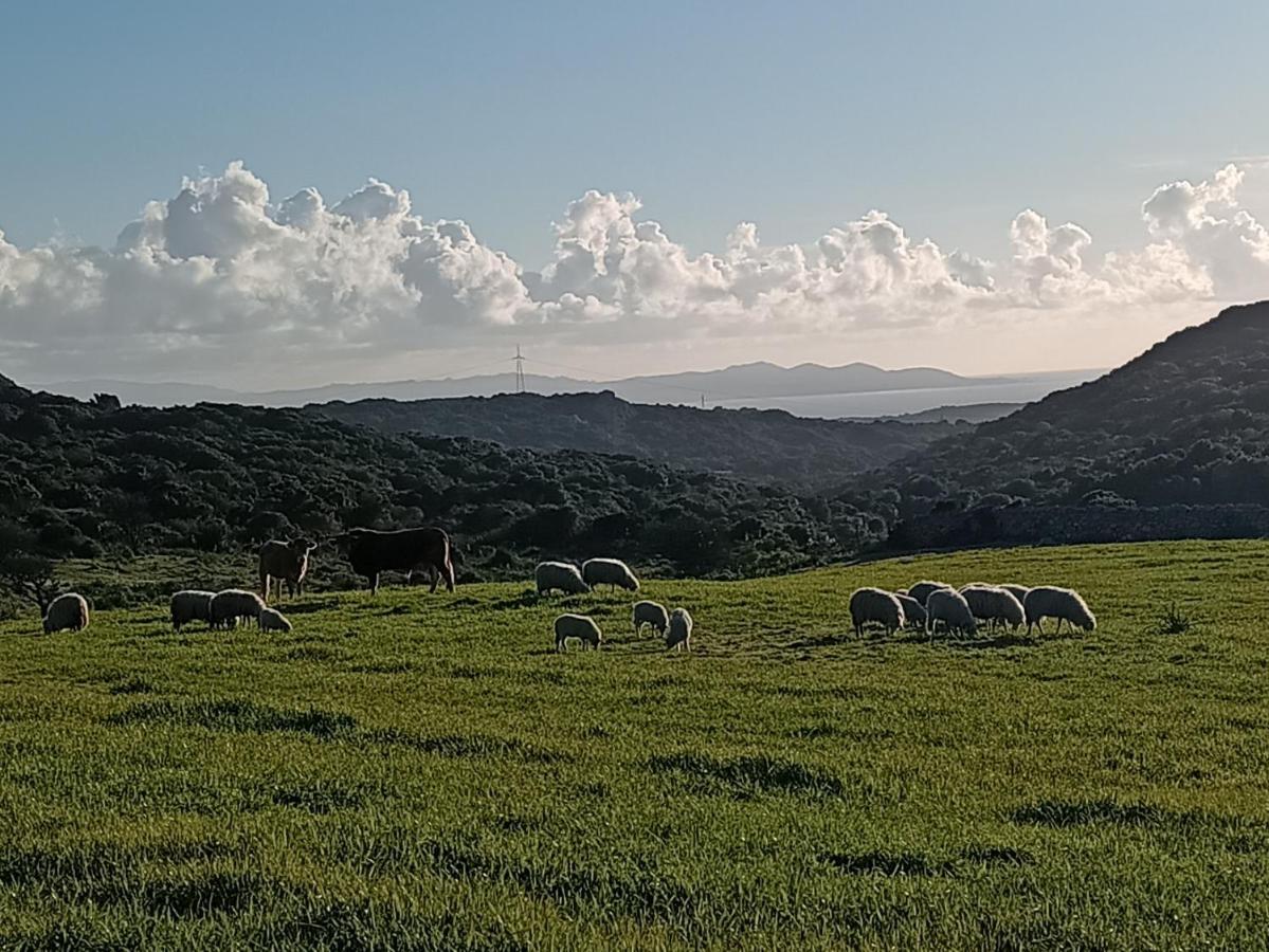 La Cera Farm Camping B&B Santa Teresa Gallura Bagian luar foto