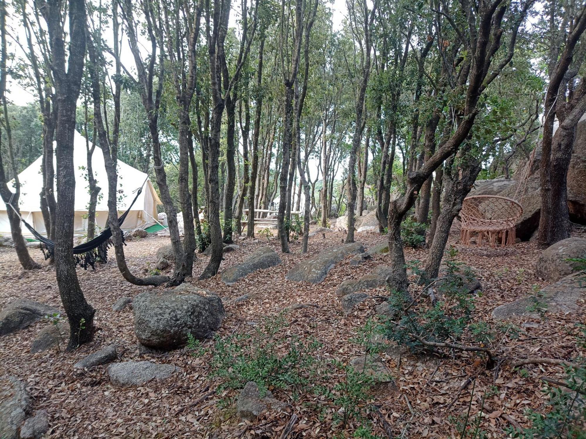 La Cera Farm Camping B&B Santa Teresa Gallura Bagian luar foto