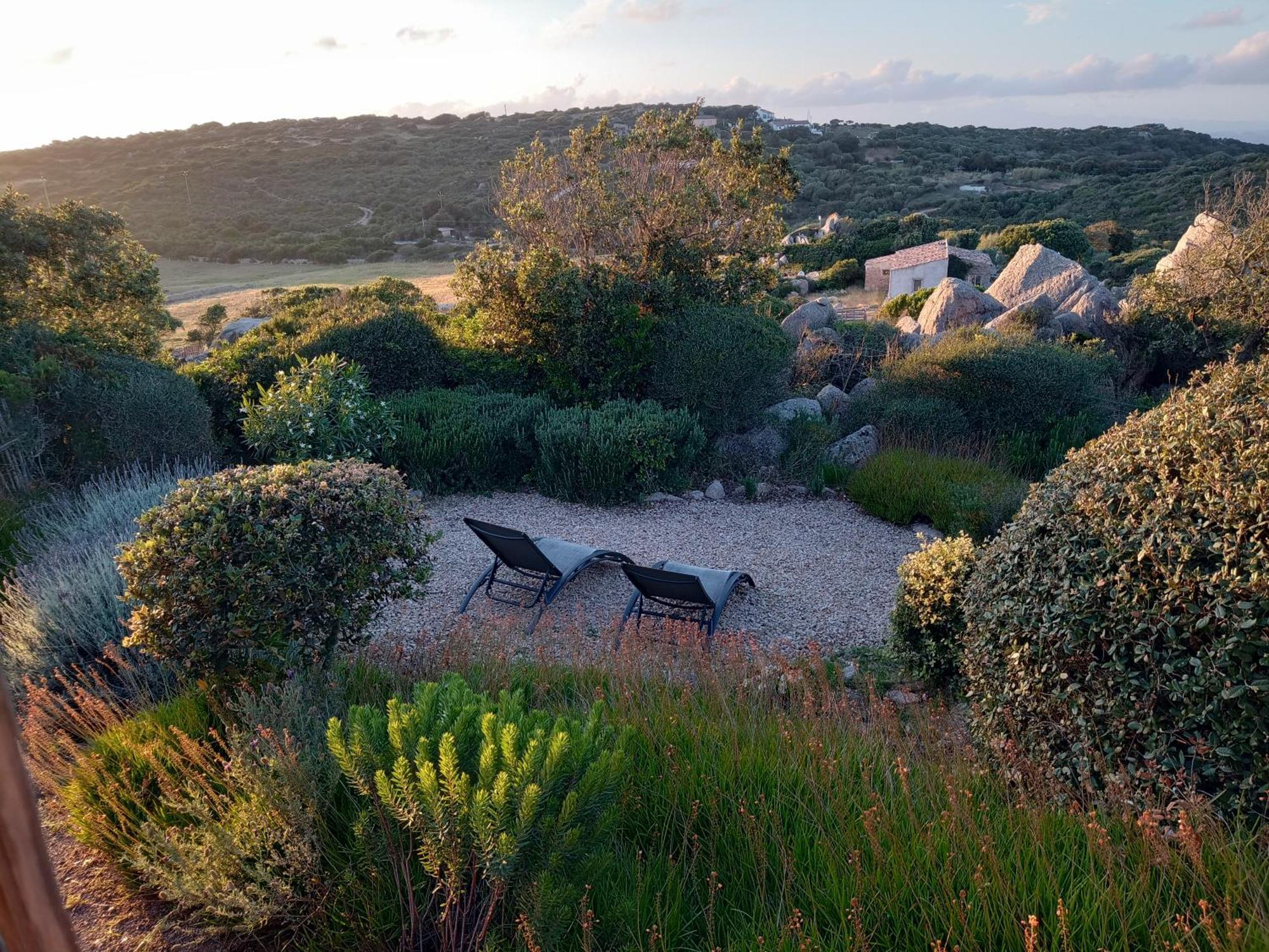 La Cera Farm Camping B&B Santa Teresa Gallura Bagian luar foto