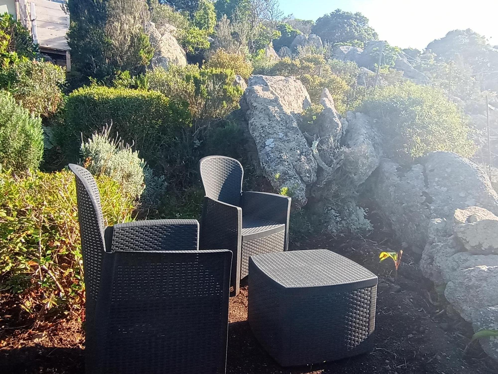 La Cera Farm Camping B&B Santa Teresa Gallura Bagian luar foto