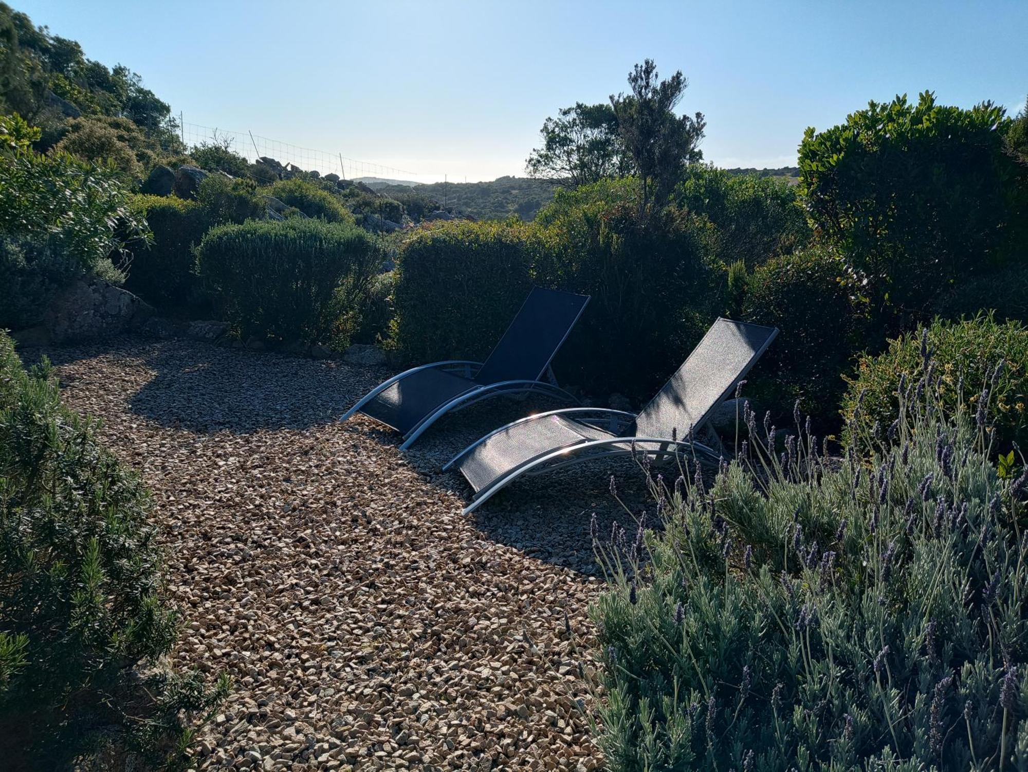 La Cera Farm Camping B&B Santa Teresa Gallura Bagian luar foto