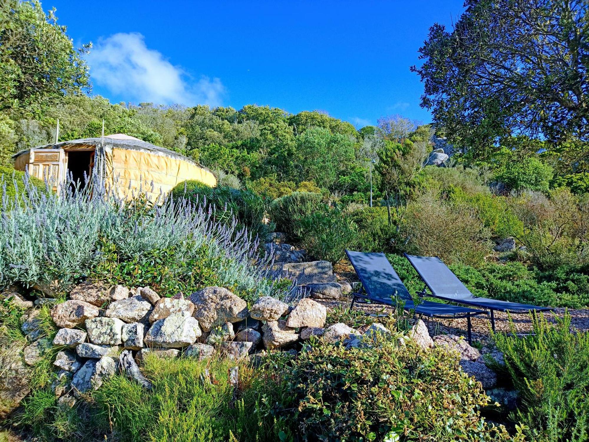 La Cera Farm Camping B&B Santa Teresa Gallura Bagian luar foto