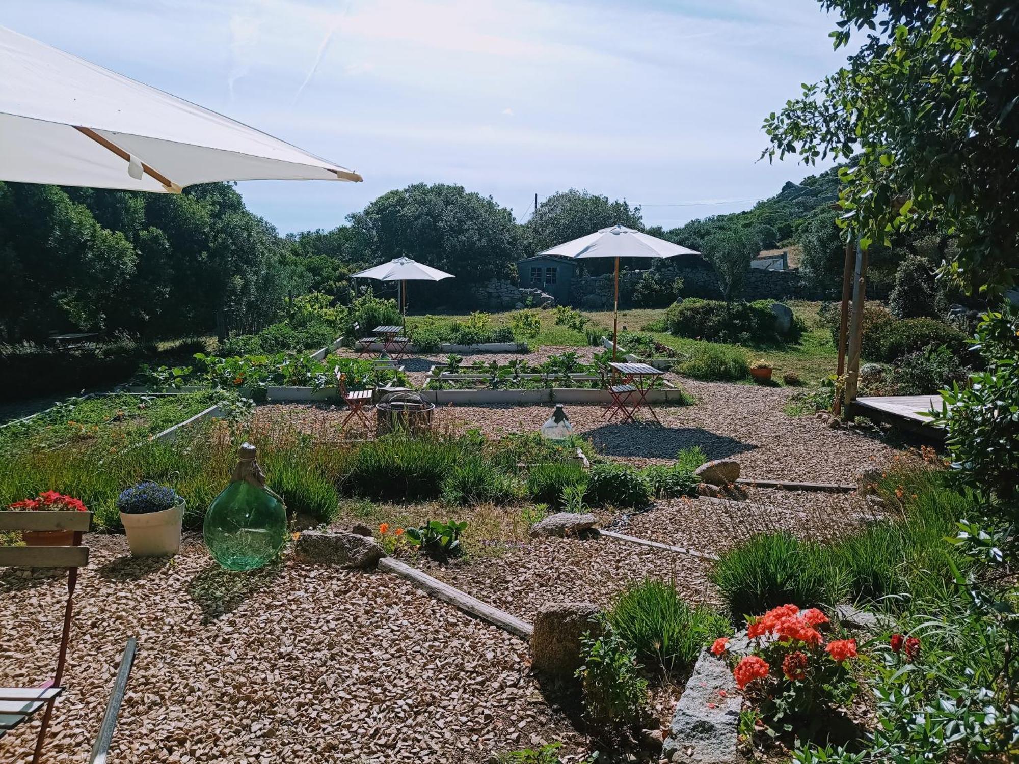 La Cera Farm Camping B&B Santa Teresa Gallura Bagian luar foto