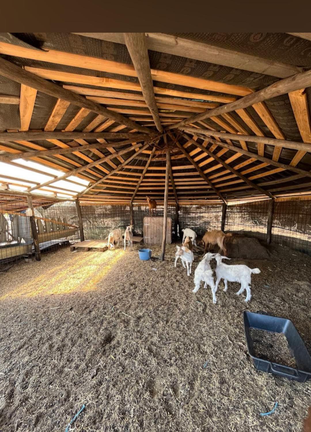 La Cera Farm Camping B&B Santa Teresa Gallura Bagian luar foto