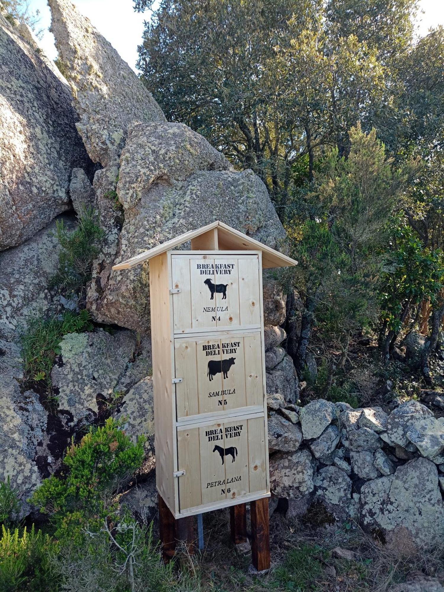 La Cera Farm Camping B&B Santa Teresa Gallura Bagian luar foto