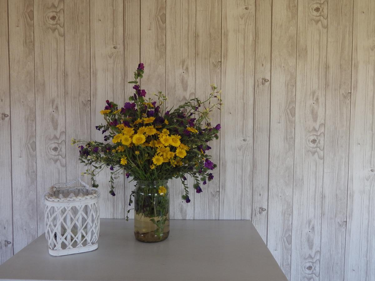 La Cera Farm Camping B&B Santa Teresa Gallura Bagian luar foto