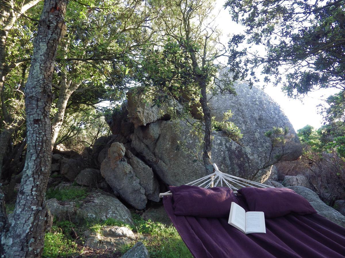 La Cera Farm Camping B&B Santa Teresa Gallura Bagian luar foto