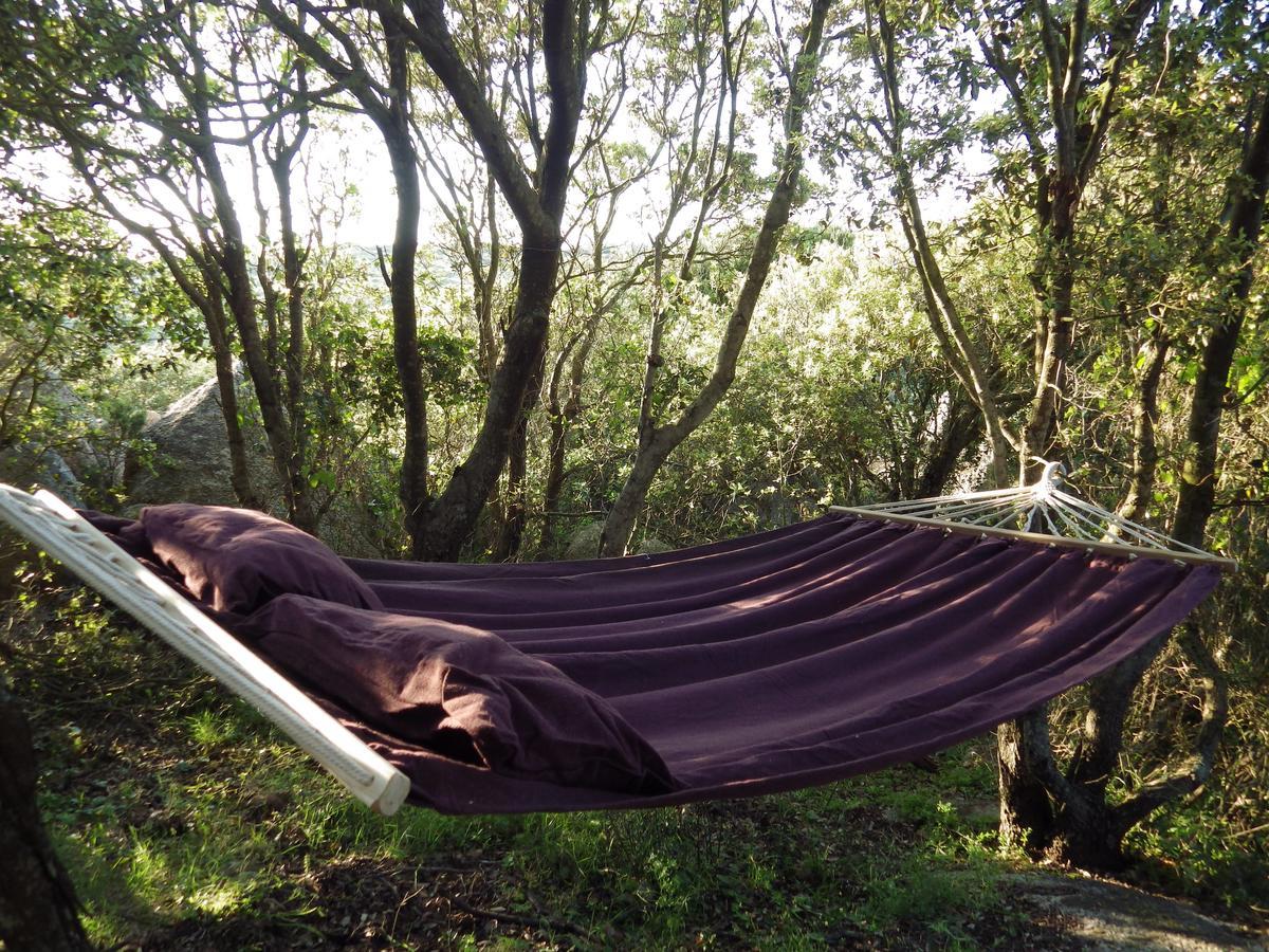 La Cera Farm Camping B&B Santa Teresa Gallura Bagian luar foto