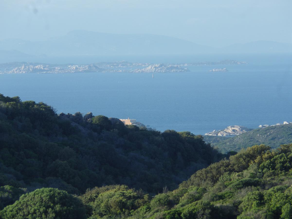 La Cera Farm Camping B&B Santa Teresa Gallura Bagian luar foto